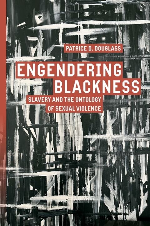 Cover image for book Engendering Blackness