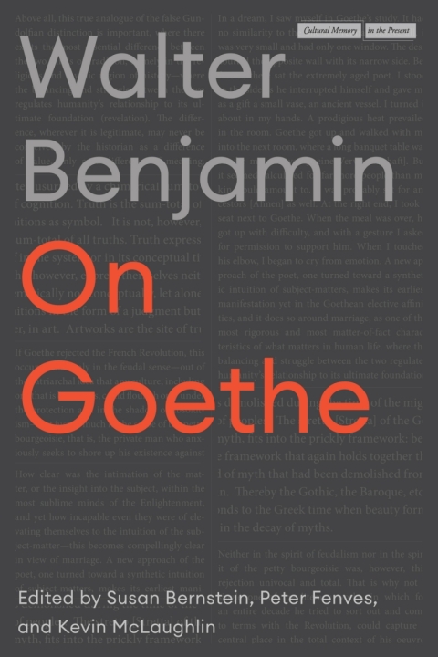 Cover image for book On Goethe