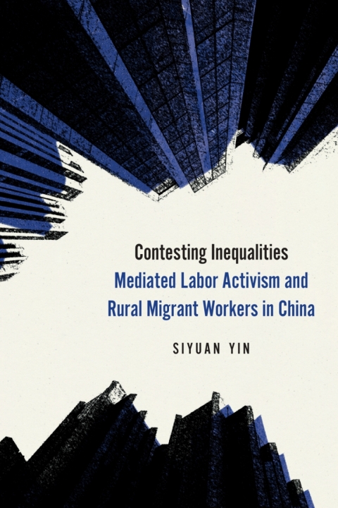 Cover image for book Contesting Inequalities