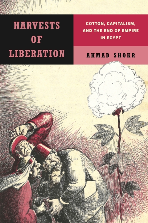 Cover image for book Harvests of Liberation
