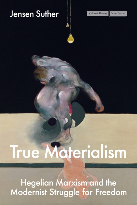 Cover image for book True Materialism