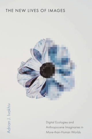 The New Lives of Images