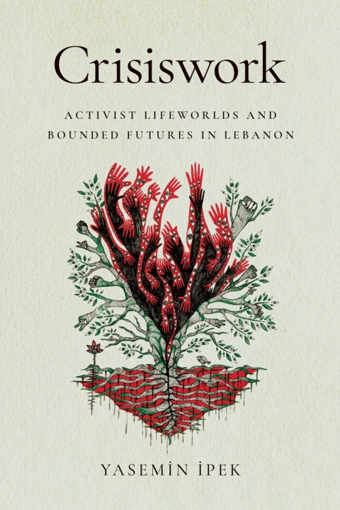 Cover image for book Crisiswork