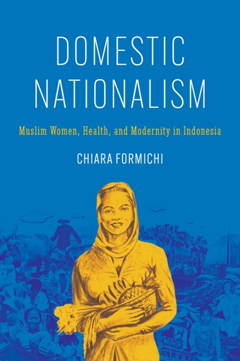 Cover image for book Domestic Nationalism