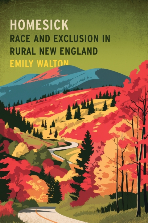 Cover image for book Homesick