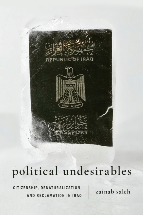 Cover image for book Political Undesirables