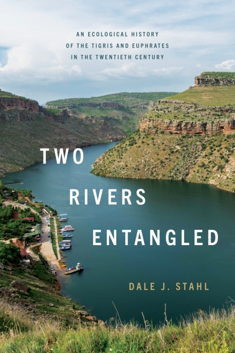 Cover image for book Two Rivers Entangled