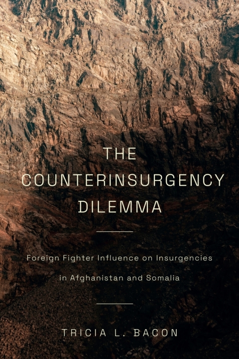 Cover image for book The Counterinsurgency Dilemma