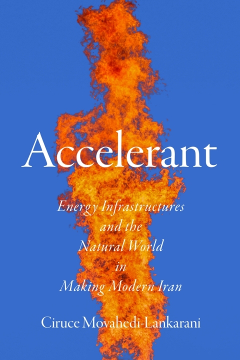 Cover image for book Accelerant