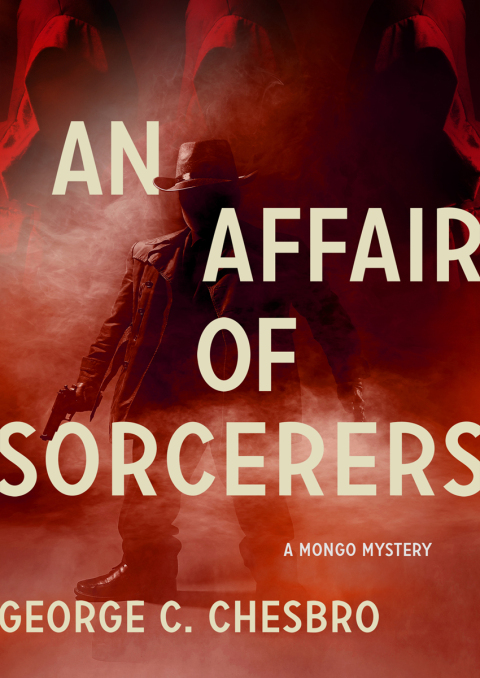 Cover image for book An Affair of Sorcerers