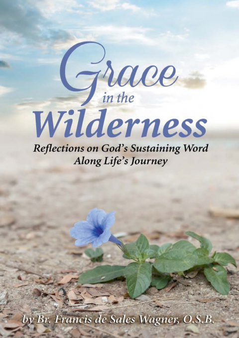 Cover image for book Grace in the Wilderness