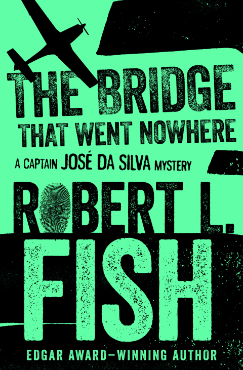 Cover image for book The Bridge That Went Nowhere