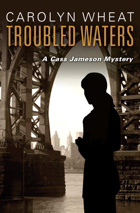 Cover image for book Troubled Waters