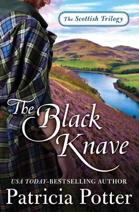 Cover image for book The Black Knave