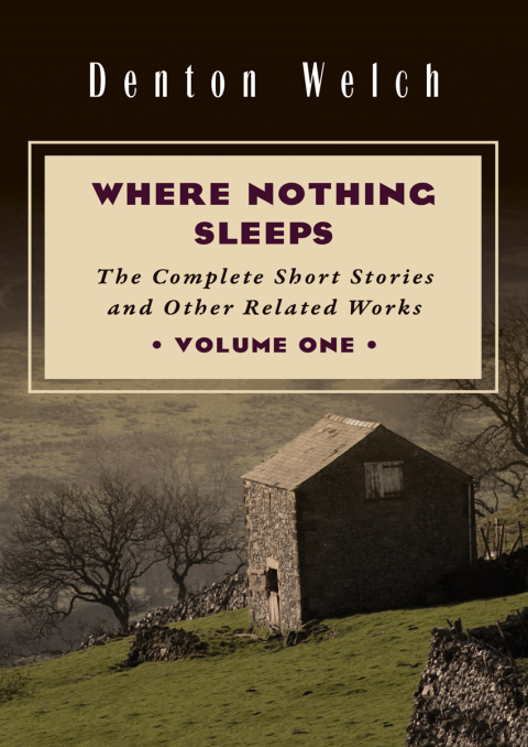 Cover image for book Where Nothing Sleeps Volume One
