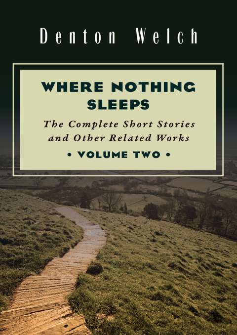 Cover image for book Where Nothing Sleeps Volume Two