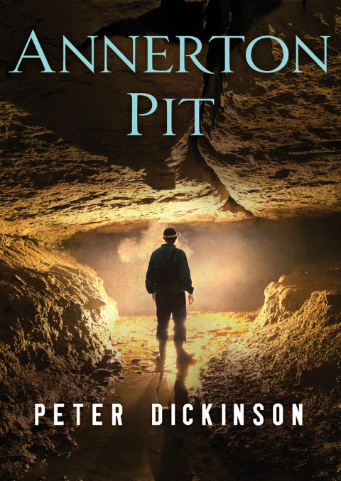 Cover image for book Annerton Pit