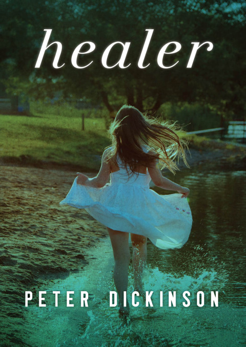Cover image for book Healer