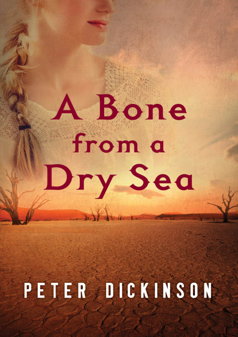 Cover image for book A Bone from a Dry Sea