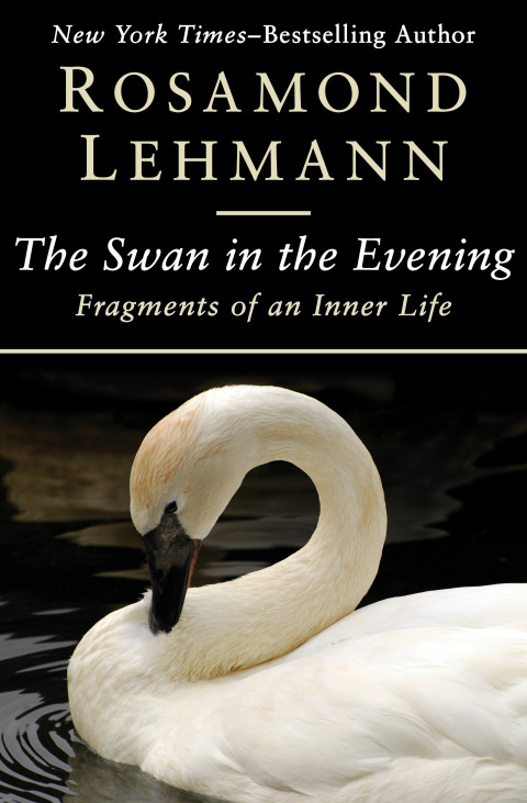Cover image for book The Swan in the Evening