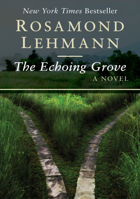 Cover image for book The Echoing Grove