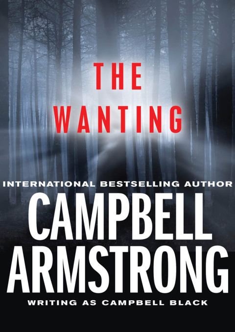 Cover image for book The Wanting