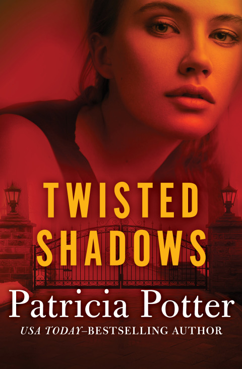Cover image for book Twisted Shadows