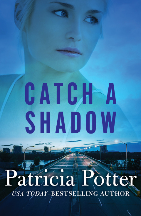 Cover image for book Catch a Shadow