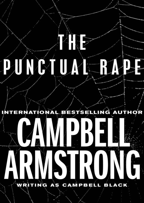 Cover image for book The Punctual Rape