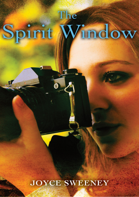 Cover image for book The Spirit Window