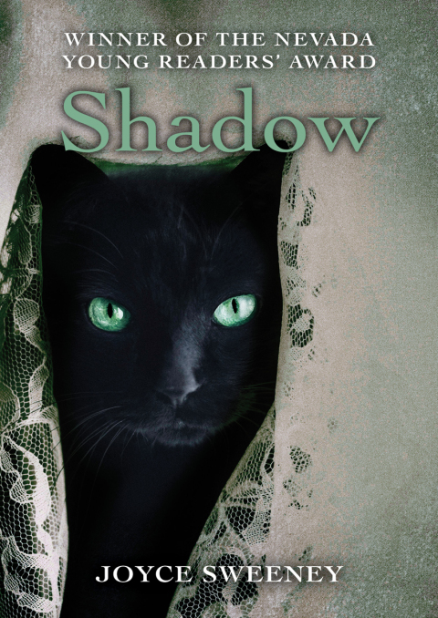 Cover image for book Shadow