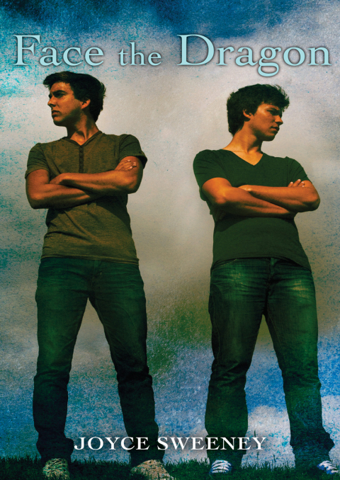 Cover image for book Face the Dragon