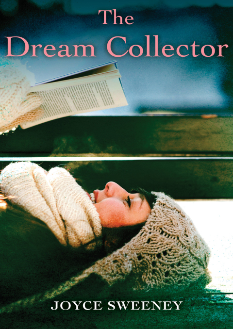 Cover image for book The Dream Collector