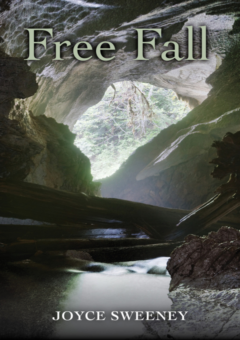 Cover image for book Free Fall
