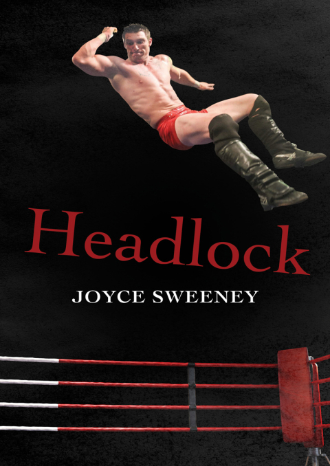 Cover image for book Headlock
