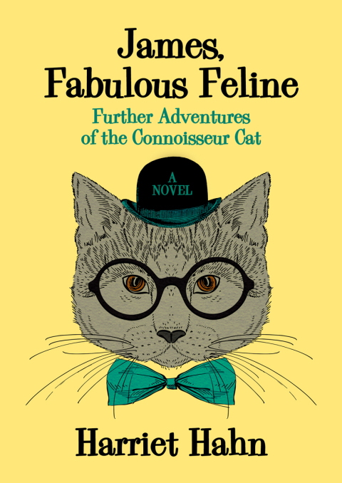 Cover image for book James, Fabulous Feline