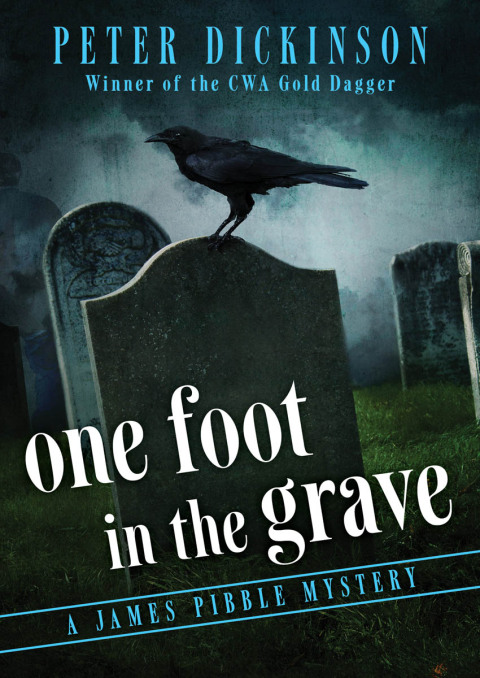 Cover image for book One Foot in the Grave