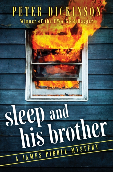 Cover image for book Sleep and His Brother