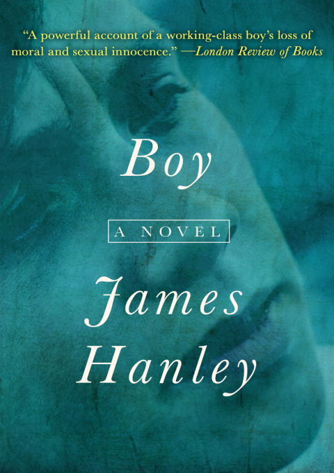 Cover image for book Boy