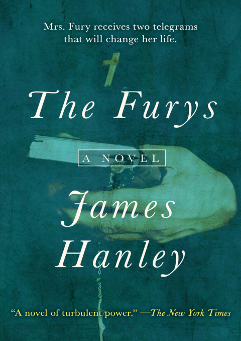 Cover image for book The Furys
