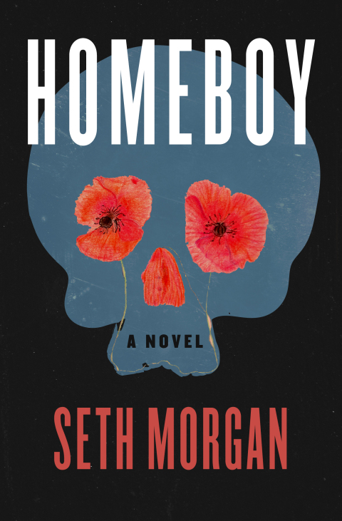 Cover image for book Homeboy