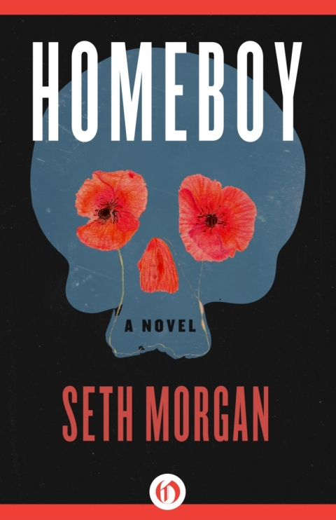 Cover image for book Homeboy