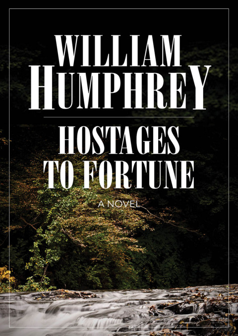 Cover image for book Hostages to Fortune