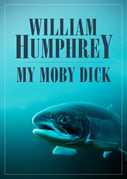Cover image for book My Moby Dick