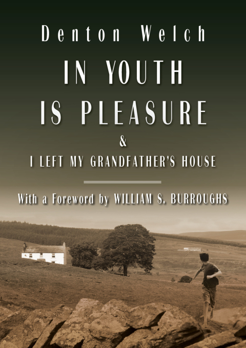 Cover image for book In Youth Is Pleasure