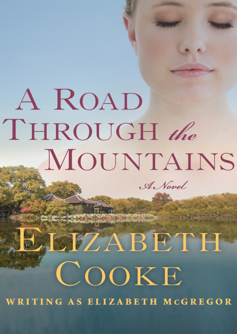 Cover image for book A Road Through the Mountains