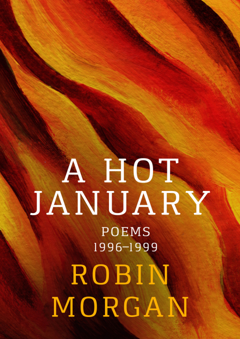 Cover image for book A Hot January