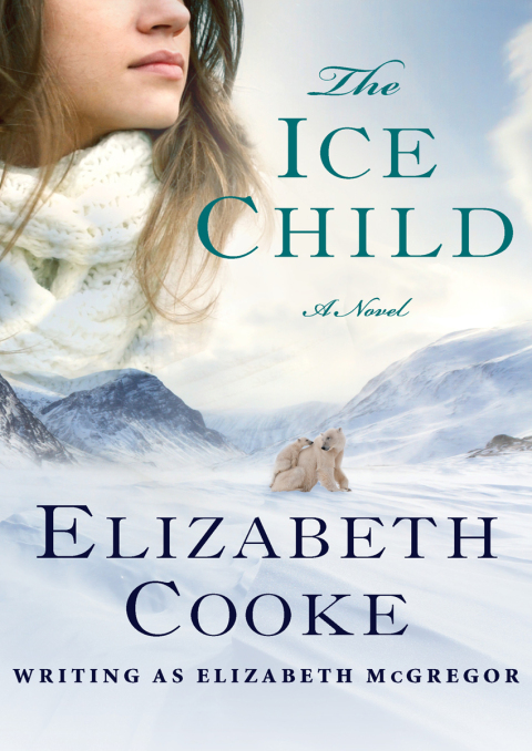 Cover image for book The Ice Child