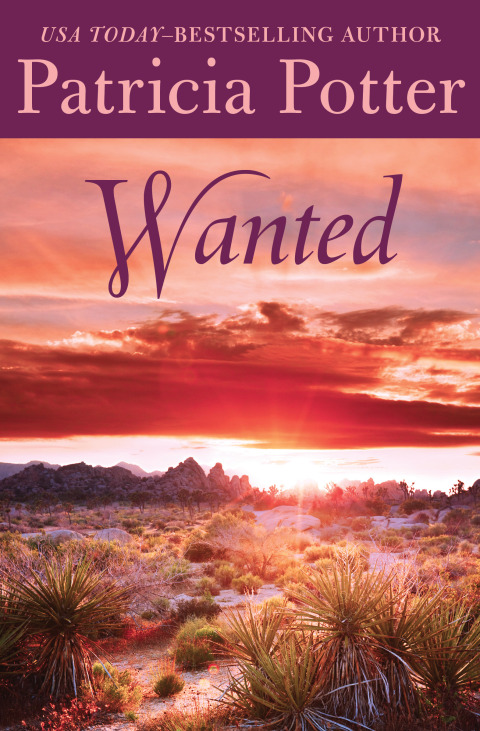 Cover image for book Wanted