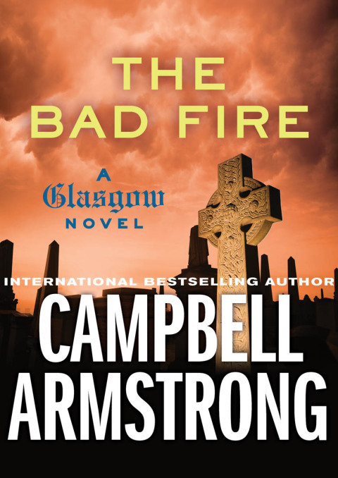 Cover image for book The Bad Fire
